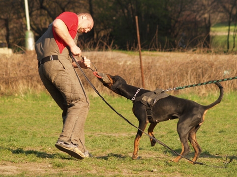 Training 26. 3. 2007